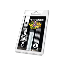 TERPENE – LEMON HAZE 1 ML | PLANT OF LIFE