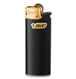 Bic Lighter Mini Sort