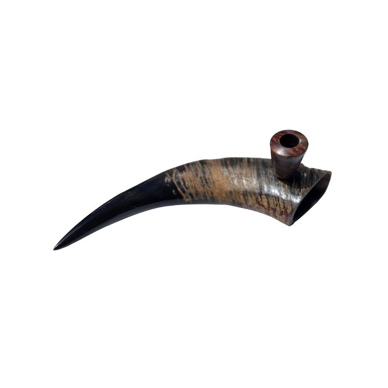 Bøffelhorn Tjubang 34 cm Bøffelhorn Tjubang 34 cm