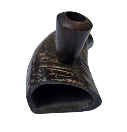 Bøffelhorn Tjubang 18 cm
